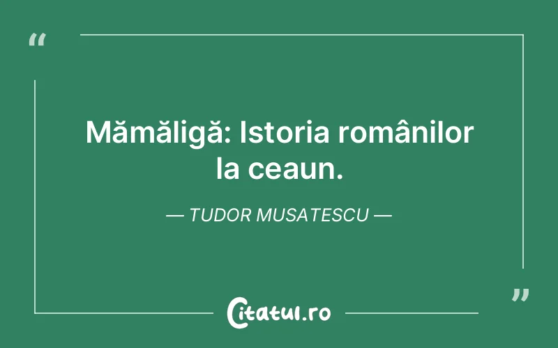 Citat Tudor Musatescu - citate viata