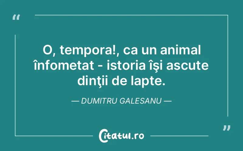 Citat Dumitru Galesanu - citate viata