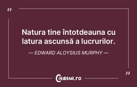 Nu exista linii in natura, ci doar pete ... Nu exista linii in natura, ci doar pete ...