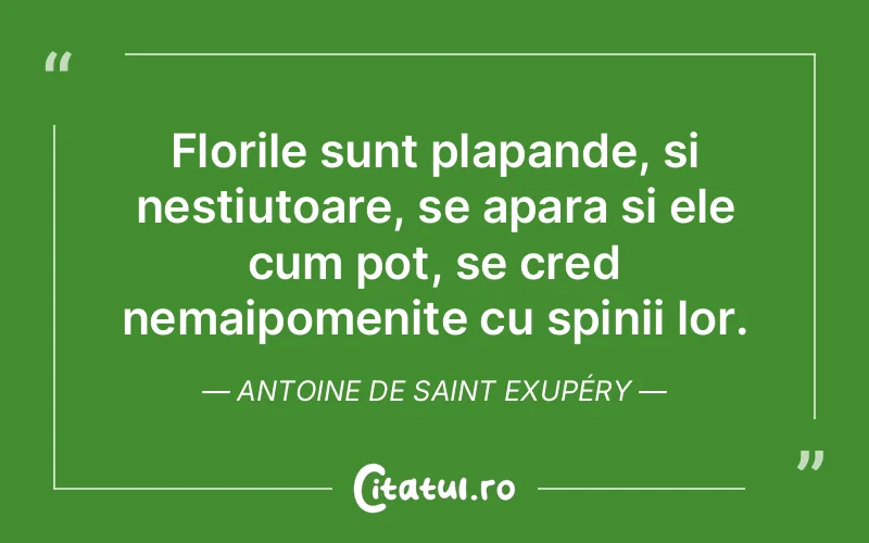 Citat Autor necunoscut - citate viata