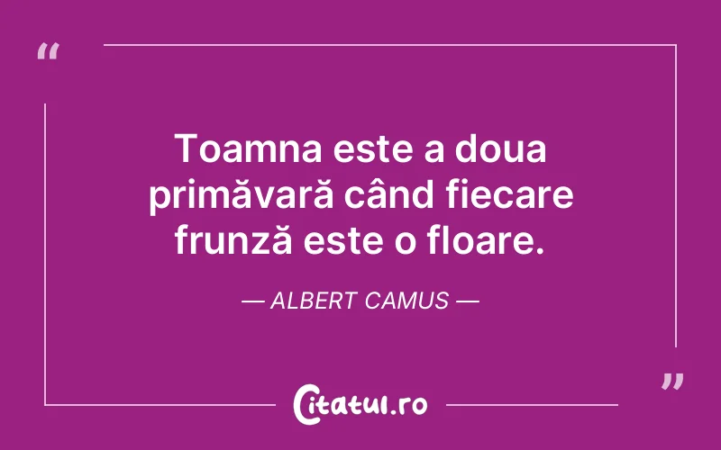 Citat Albert Camus - citate viata