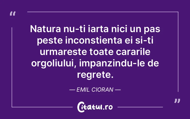 Citat Emil Cioran - citate viata