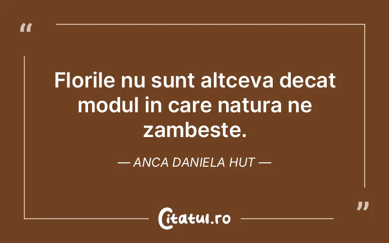 Citat Anca Daniela Hut - citate viata