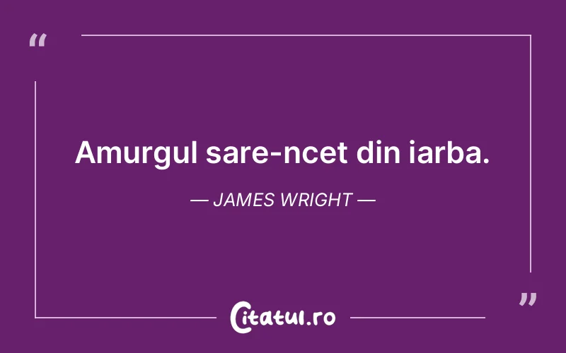 Citat James Wright - citate viata