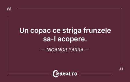 Nu imi plac gradinile obisnuite. Imi pla...