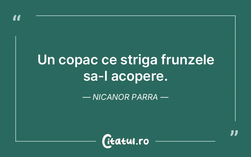 Citat Nicanor Parra - citate viata