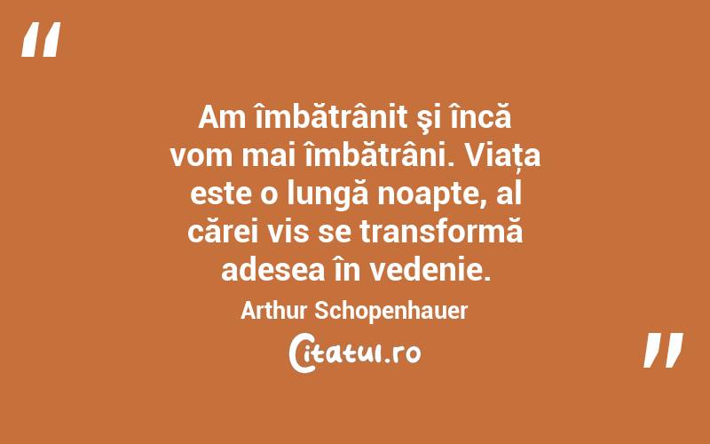 Am îmbătrânit şi încă vom mai îmbătrâni. Viaţa este o lungă noapte, al cărei vis se transformă adesea în vedenie. Arthur Schopenhauer
