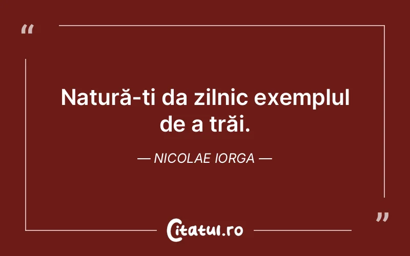 Citat Nicolae Iorga - citate viata