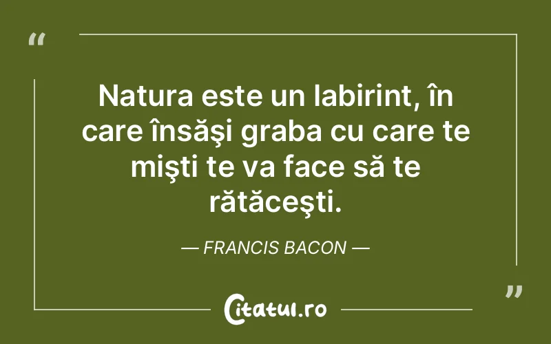 Citat Francis Bacon - citate viata
