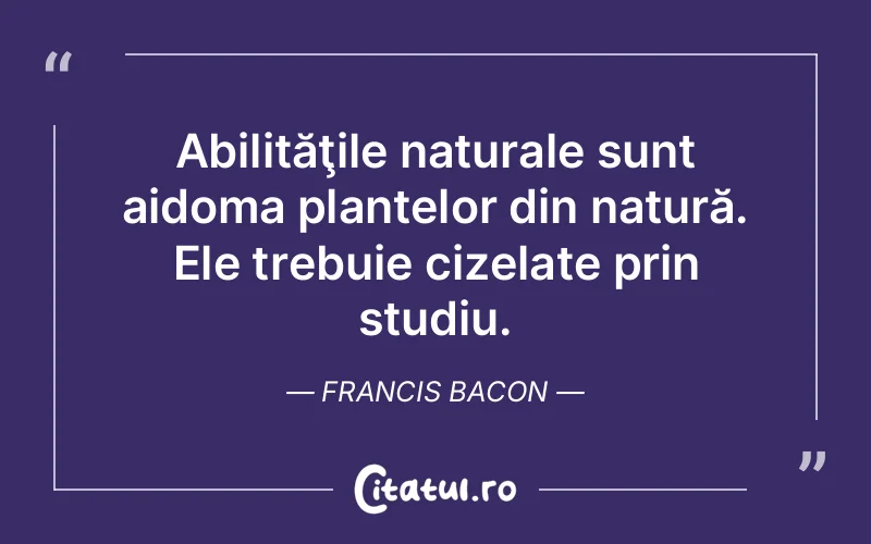 Citat Francis Bacon - citate viata