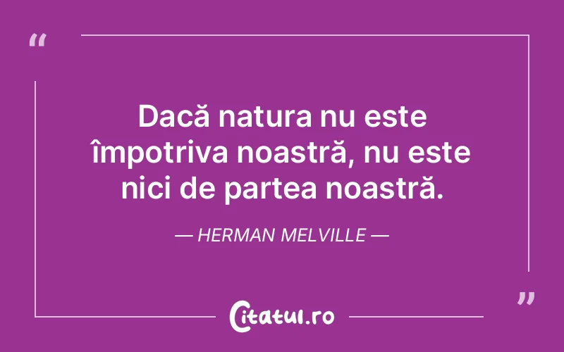 Citat Herman Melville - citate viata