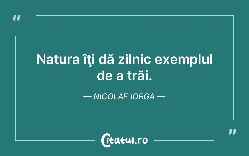 Citat Nicolae Iorga - citate viata
