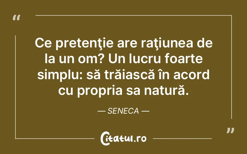 Citat Seneca - citate viata