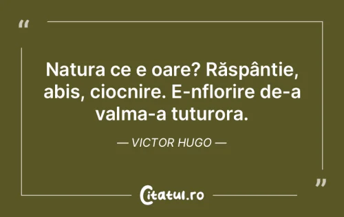 Citat Viață - Citatul.ro