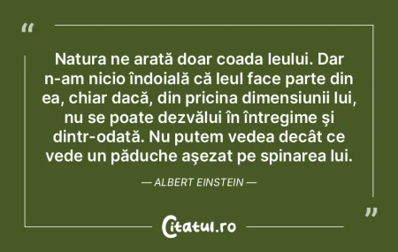 Natura naturii e legănare. Andrei Plesu Natura naturii e legănare. Andrei Plesu