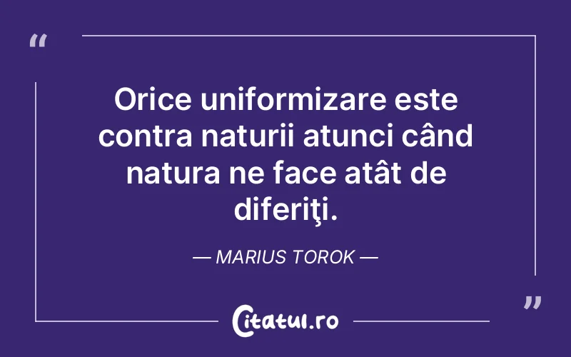 Citat Marius Torok - citate viata