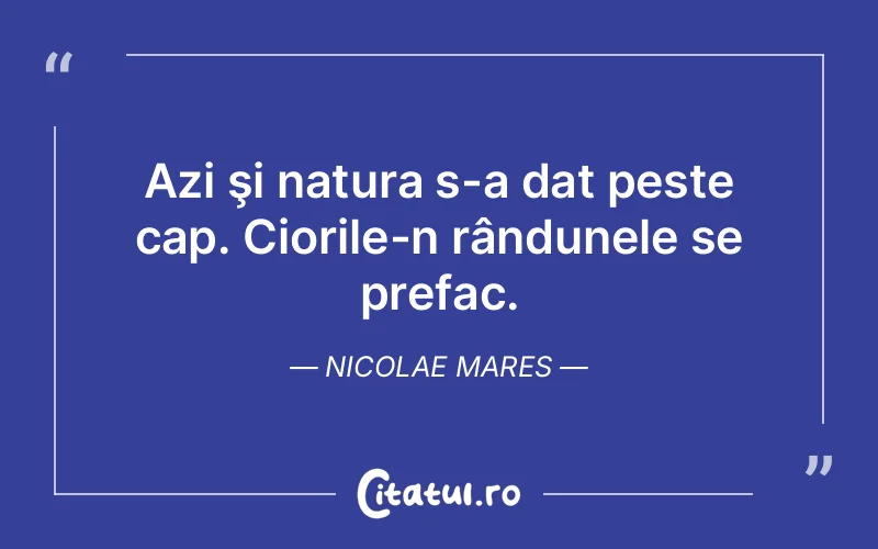 Citat Nicolae Mares - citate viata