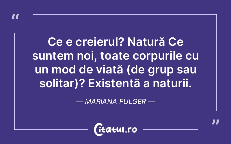 Citat Mariana Fulger - citate viata