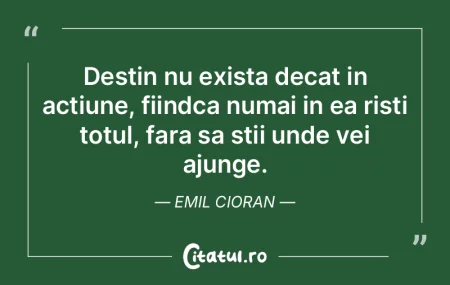 Sansa este numele dat de nebuni destinul...