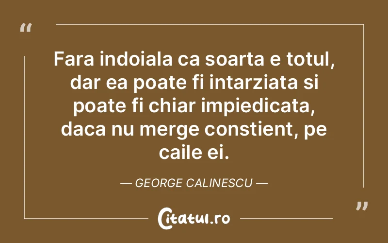 Citat George Calinescu - citate viata