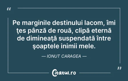 Este alegera nu sansa aceea care determi... Este alegera nu sansa aceea care determi...