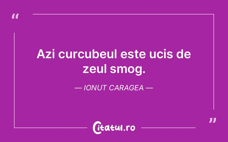 Citat Ionut Caragea - citate viata