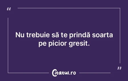 Nesansa o numesti soarta. Daca-ti ies so... Nesansa o numesti soarta. Daca-ti ies so...
