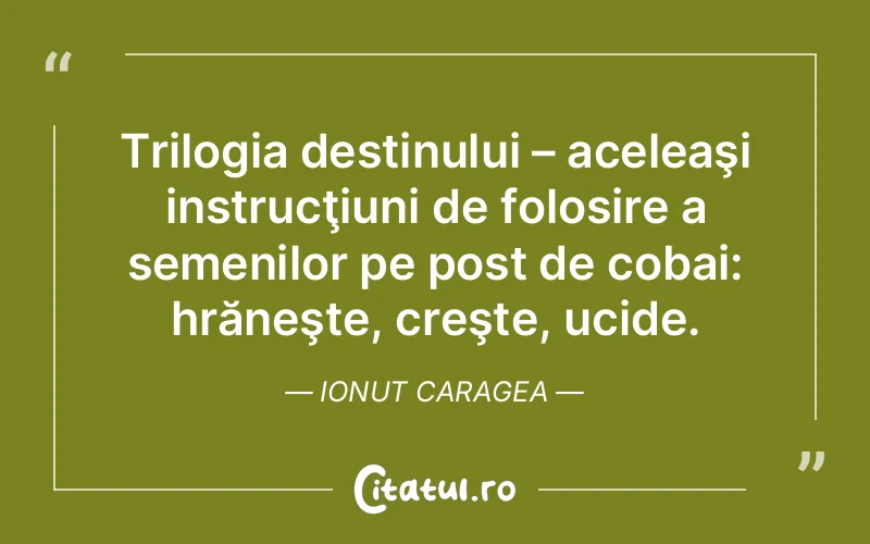 Citat Ionut Caragea - citate viata