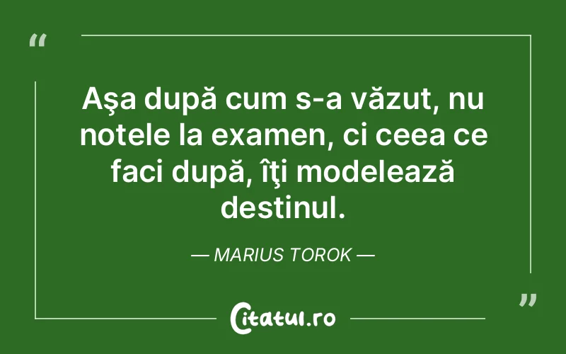 Citat Marius Torok - citate viata