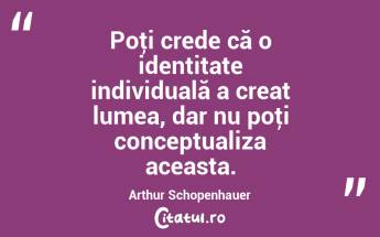 Poţi crede că o identitate individuală a creat lumea, dar nu poţi conceptualiza aceasta. Arthur Schopenhauer...