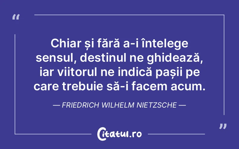 Citat Friedrich Wilhelm Nietzsche - citate viata