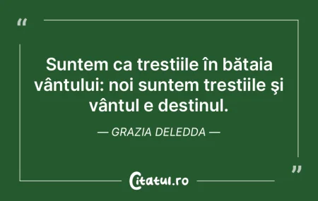 Când ai încredere deplină în tine, s...