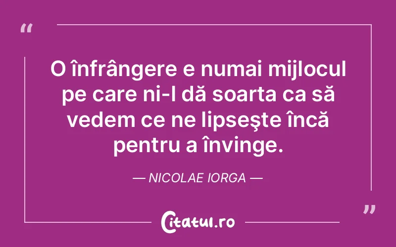 Citat Nicolae Iorga - citate viata