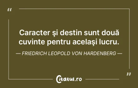 Destinul este ca o mare şi minunată ta...