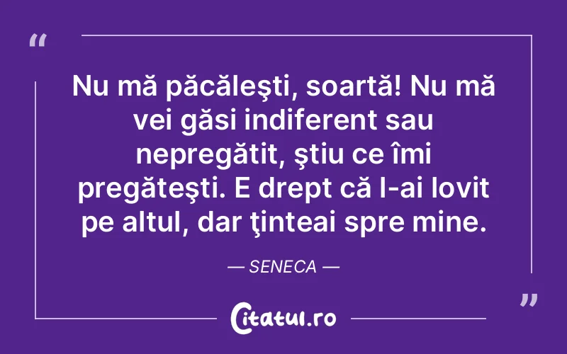 Citat Seneca - citate viata