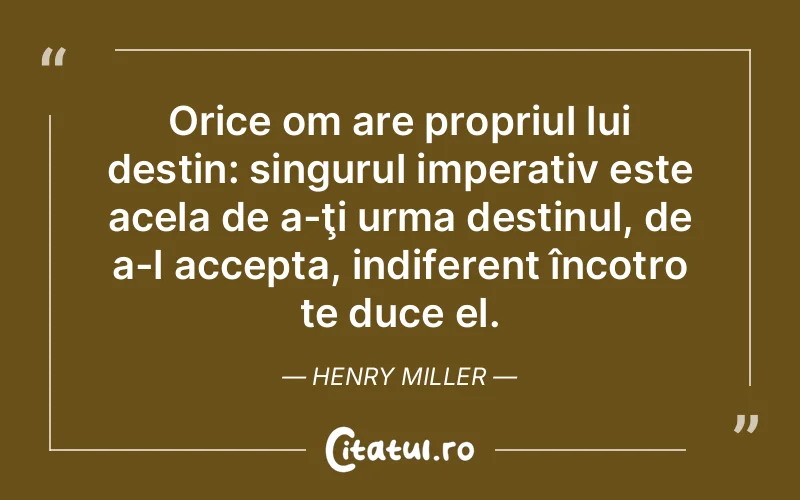 Citat Henry Miller - citate viata