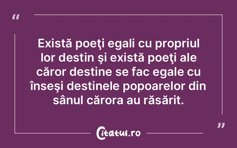 Citat Autor necunoscut - citate viata