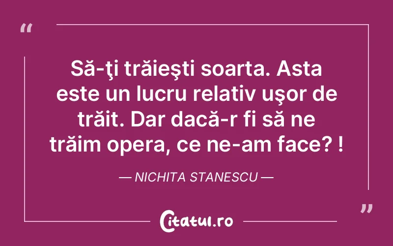 Citat Nichita Stanescu - citate viata