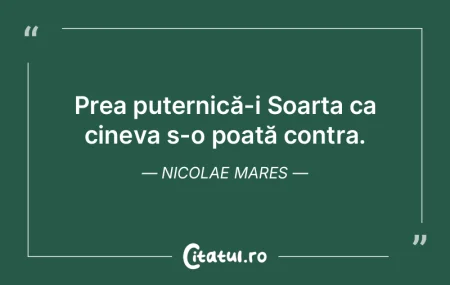 Experienta ii invata doar pe cei care vo...