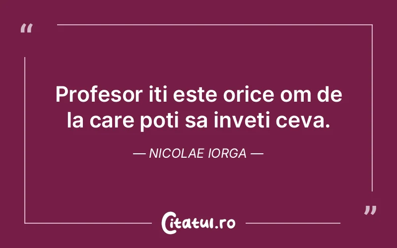 Citat Nicolae Iorga - citate viata