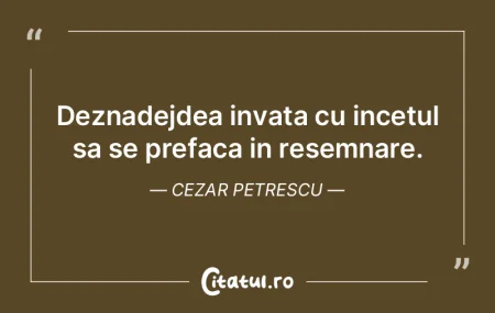 Invata limba pisicii doar cainele cu Alz...