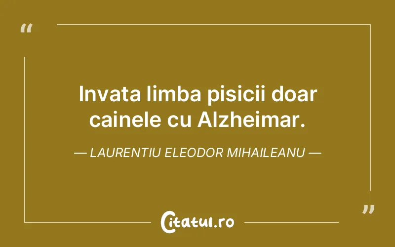 Citat Laurentiu Eleodor Mihaileanu - citate viata
