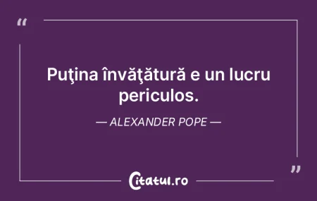 Cei care ştiu, fac. Cei care înţeleg,...