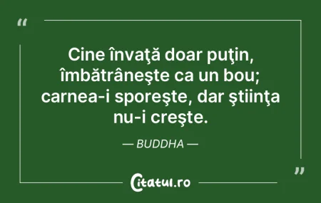 Nu-l pot învăţa să vorbească pe cel...