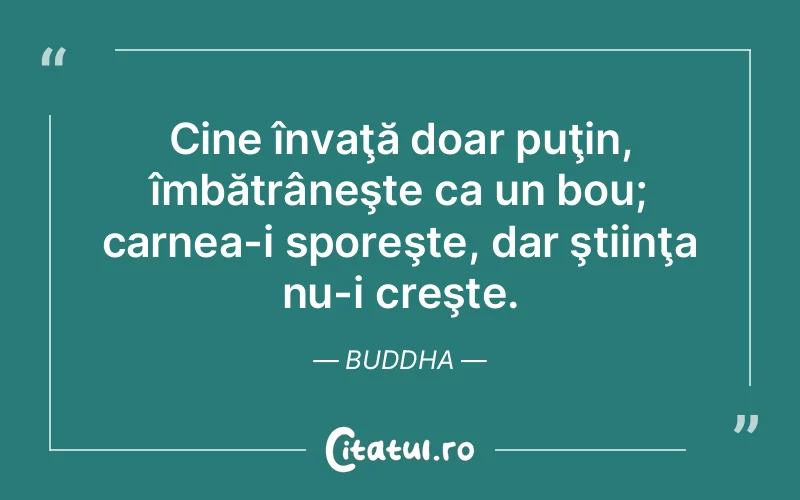 Citat Buddha - citate viata