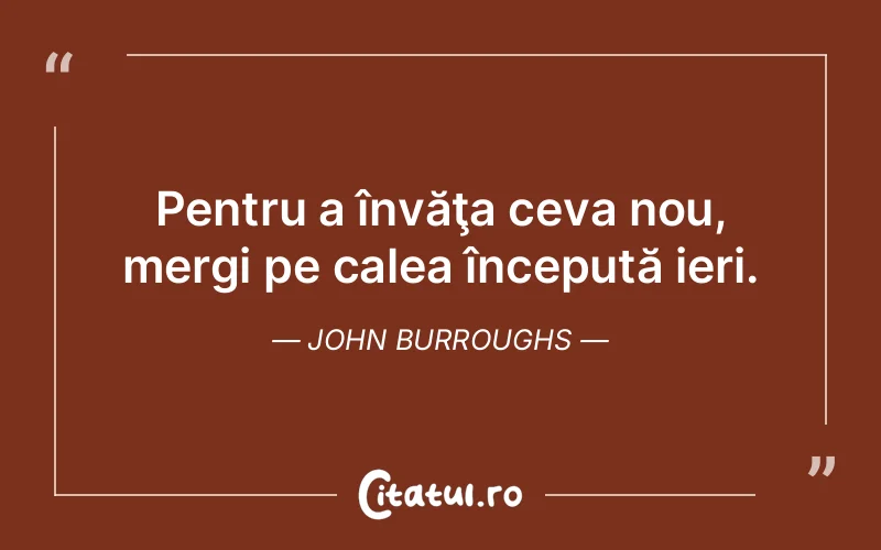 Citat John Burroughs - citate viata