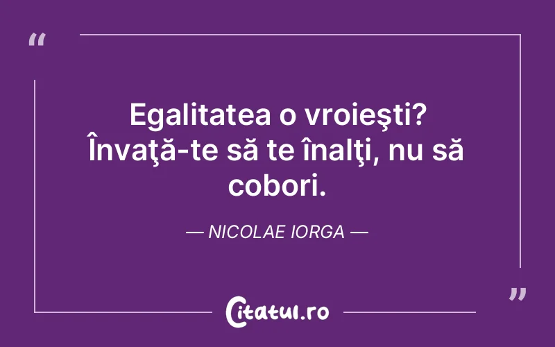 Citat Nicolae Iorga - citate viata
