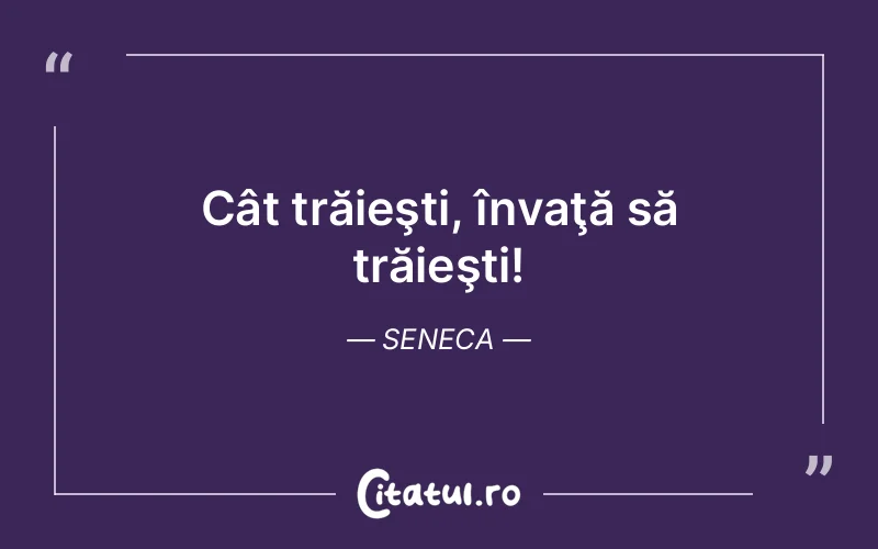 Citat Seneca - citate viata