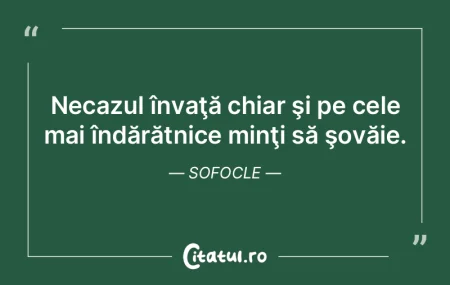 A ignora înseamnă a plânge; a învăÅ... A ignora înseamnă a plânge; a învăÅ...
