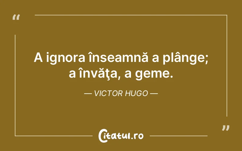 Citat Victor Hugo - citate viata